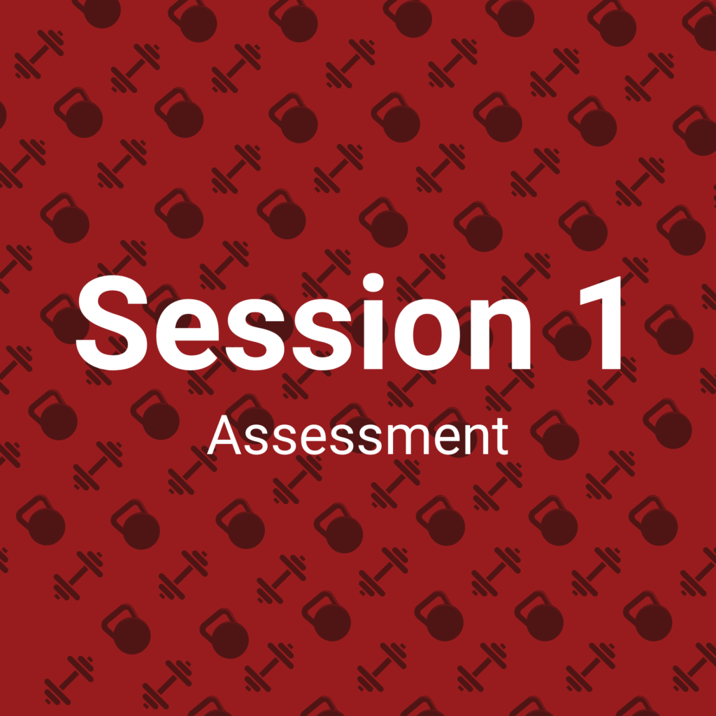 intro session 1 - assessment